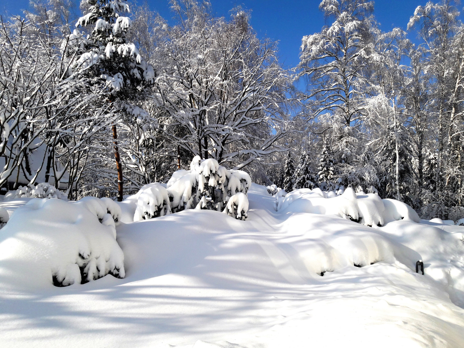 Зимние фото Объекта. Горки-8