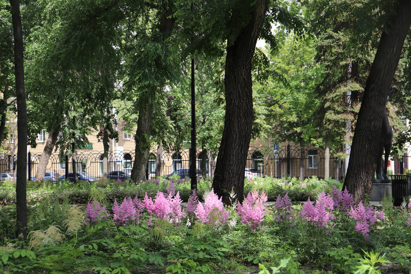 Парк Орленок