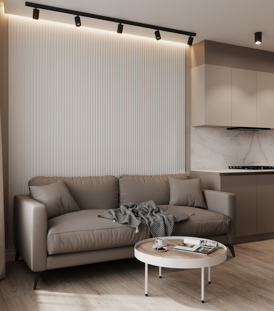 Кухня-гостиная