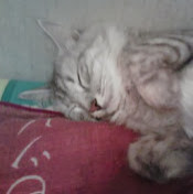 Илья Оберемко