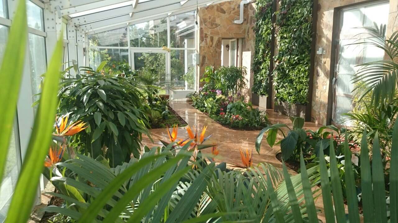 Зимний сад. Калининец