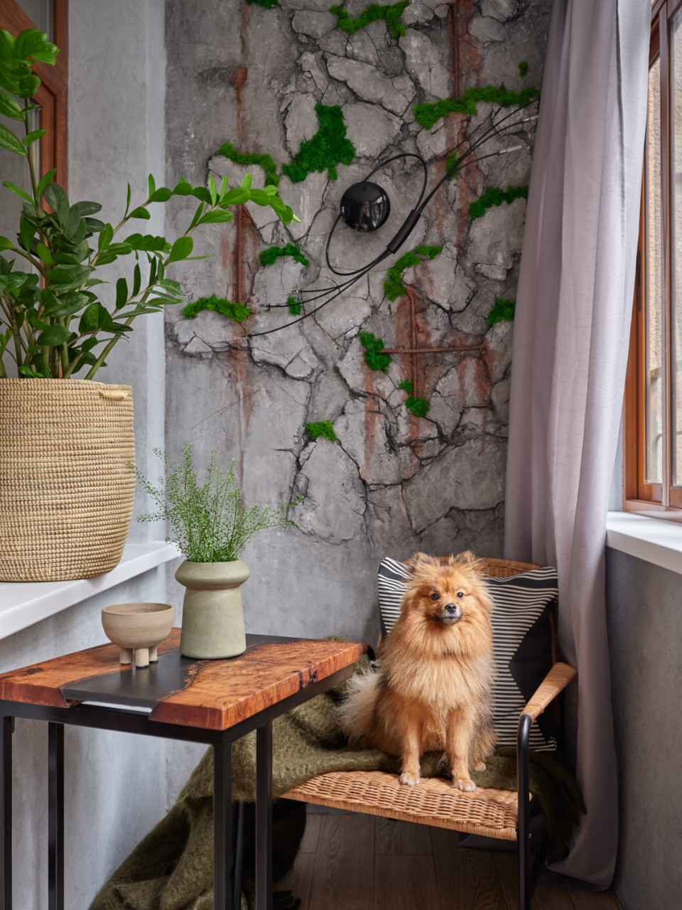 Поиск планировки: 3 плана + финал для студии-трапеции 28 кв.м