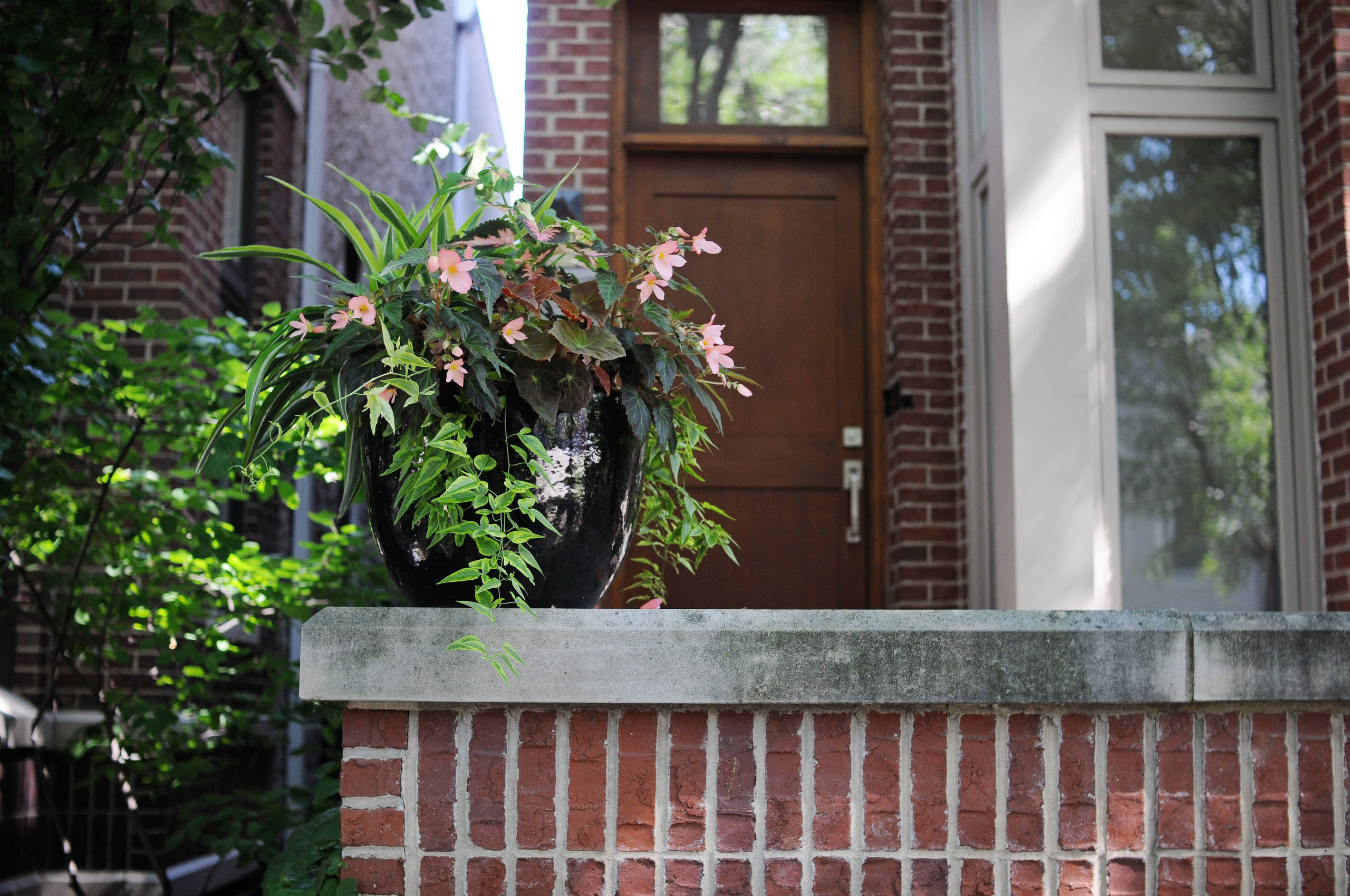 Как правильно: Сделать горшечный сад в середине лета