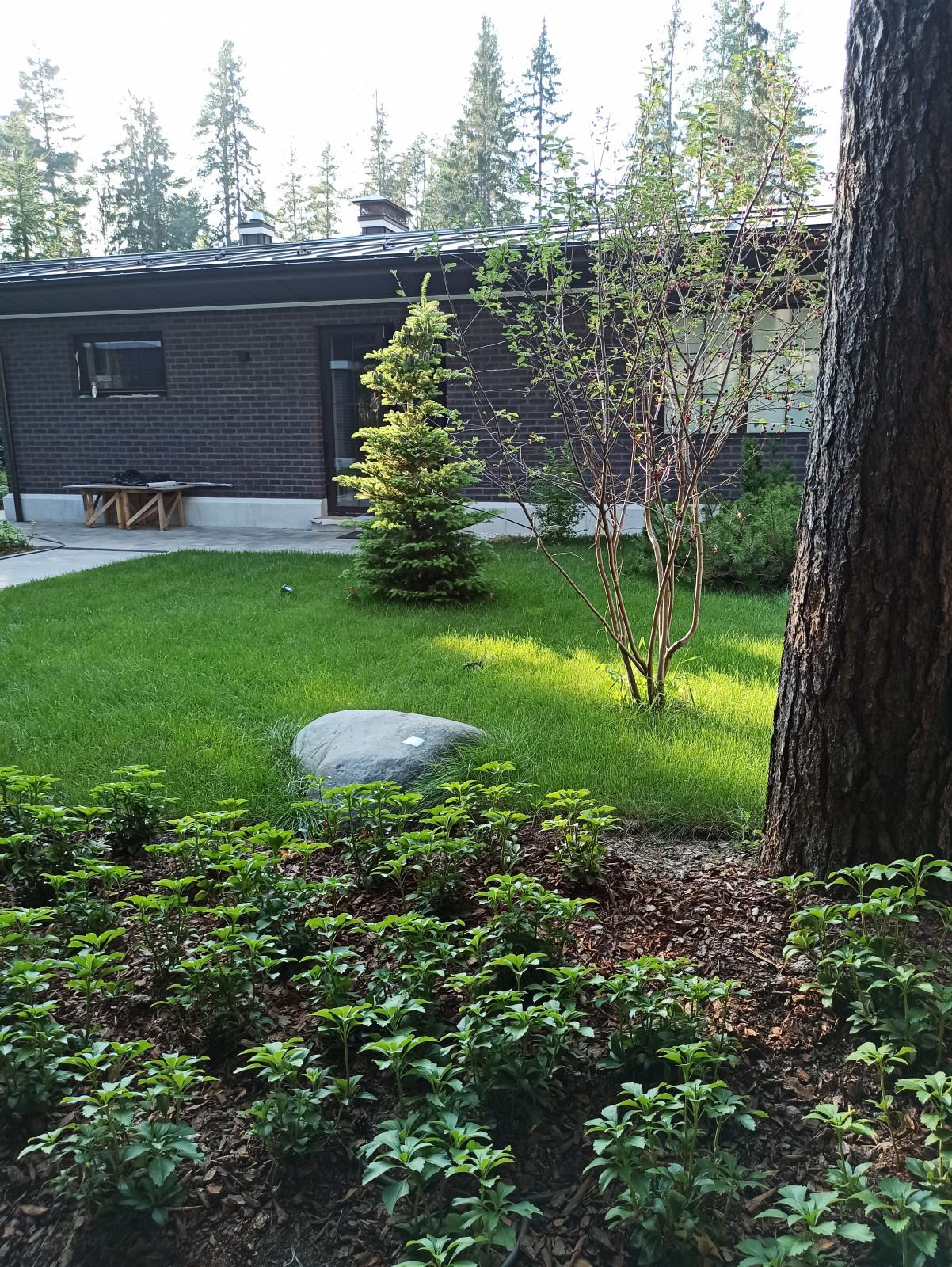 Ландшафт для дома в стиле Райта