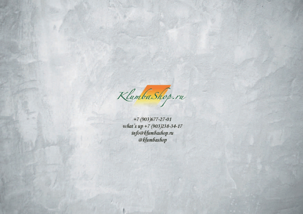 Обложка проекта: Хвойные заросли