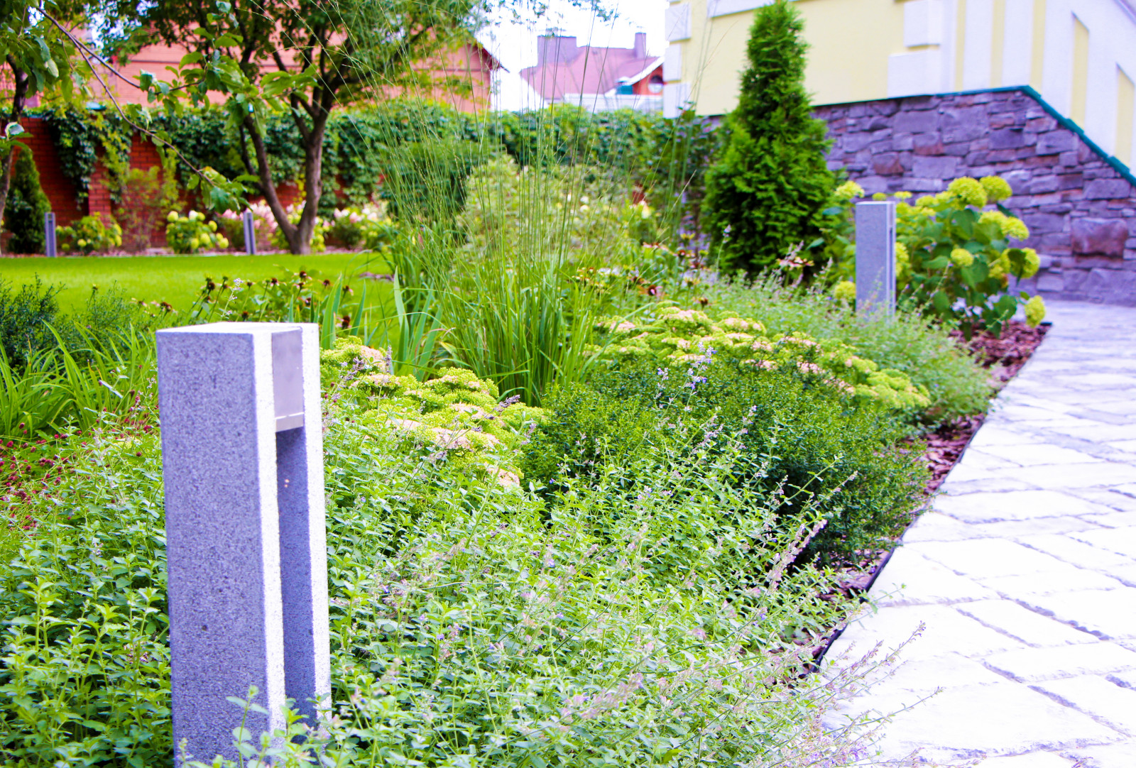 Обложка проекта: Долгопрудный, 2020 г.