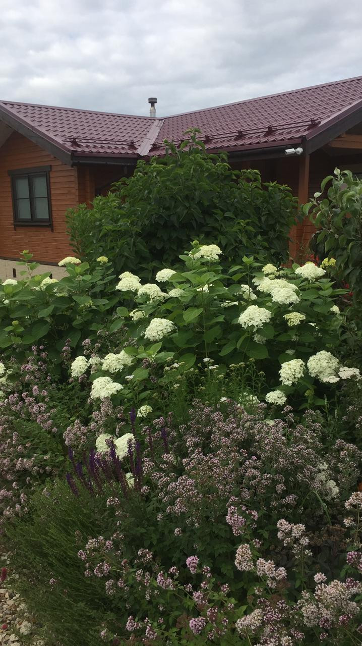 Сад трав и цветов.