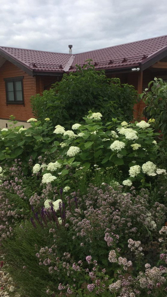 Сад трав и цветов.