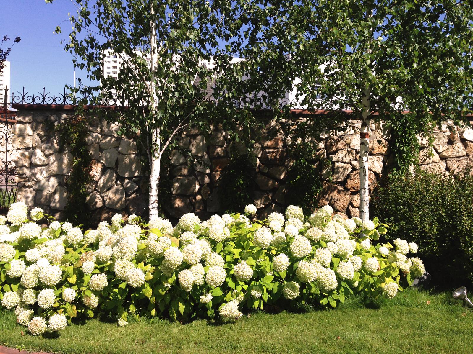 Сад "Динамика движения"