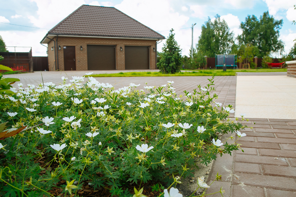 Времена года в саду "Красный октябрь"