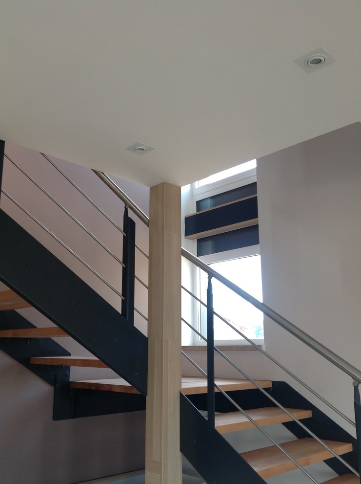 Rogosinino Prototype 2/14