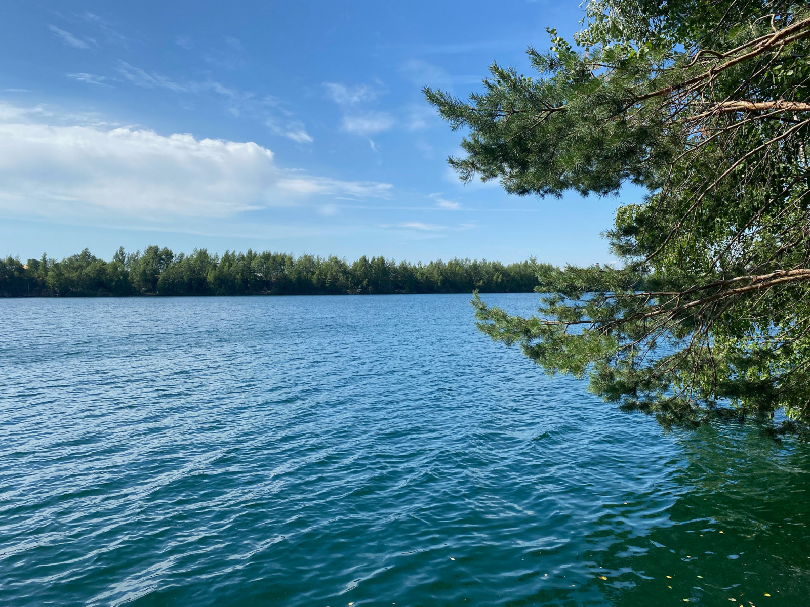 Кожино 2021/зима