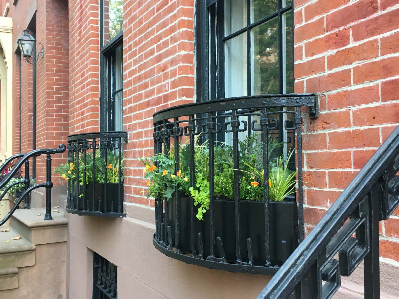 Обложка статьи: Вопрос: Как разбить сад за окном в цветочнице