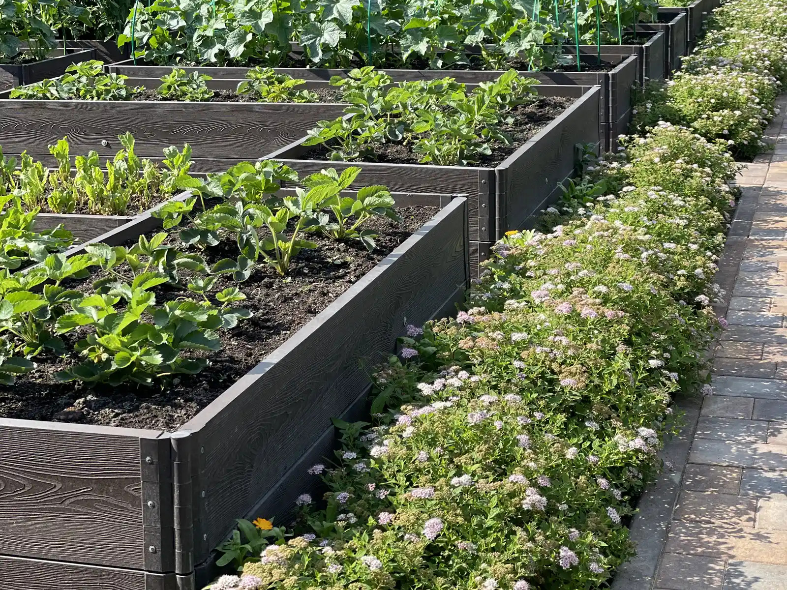 «ШЕРШЕ-ЛЯ-ФАМ»