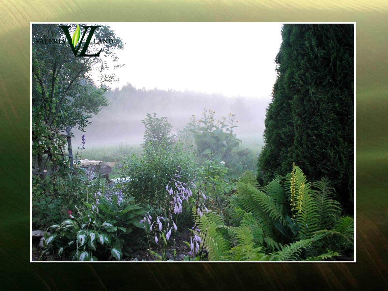 Реализованные проекты