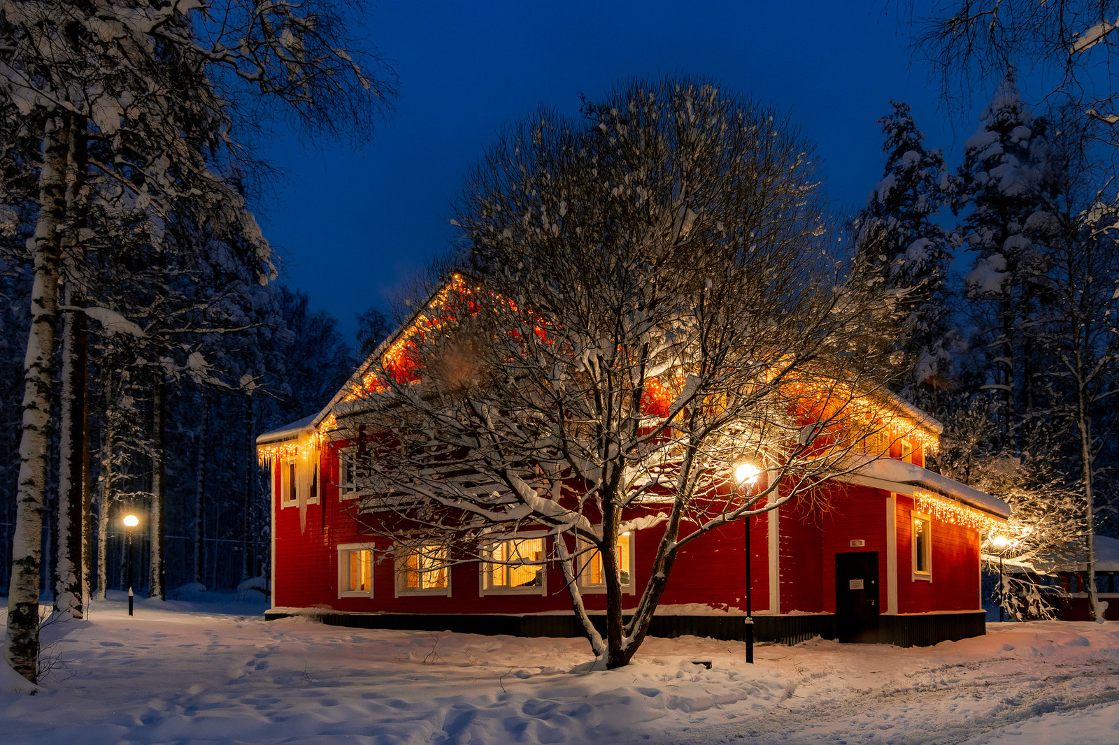 База отдыха "Радуга". Зимняя сказка