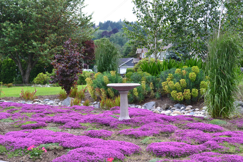 Живой сад: С бабочками, пчелами и жуками — что надо посадить