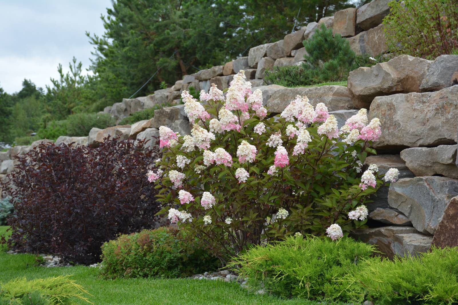 Ново-Николино