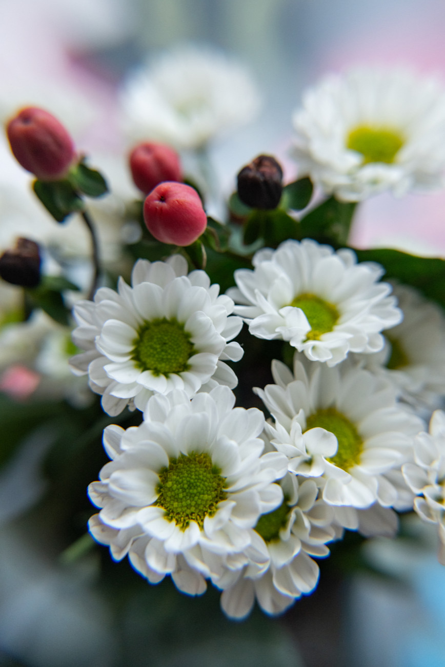 Обложка проекта: Дизайн штор. Ресторан «КультуRa»