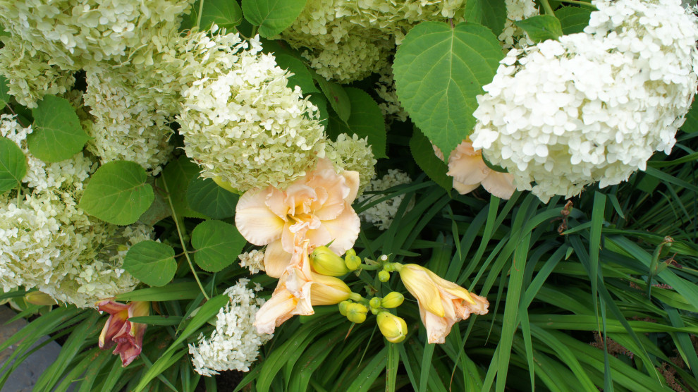 Цветники и композиции крупным планом