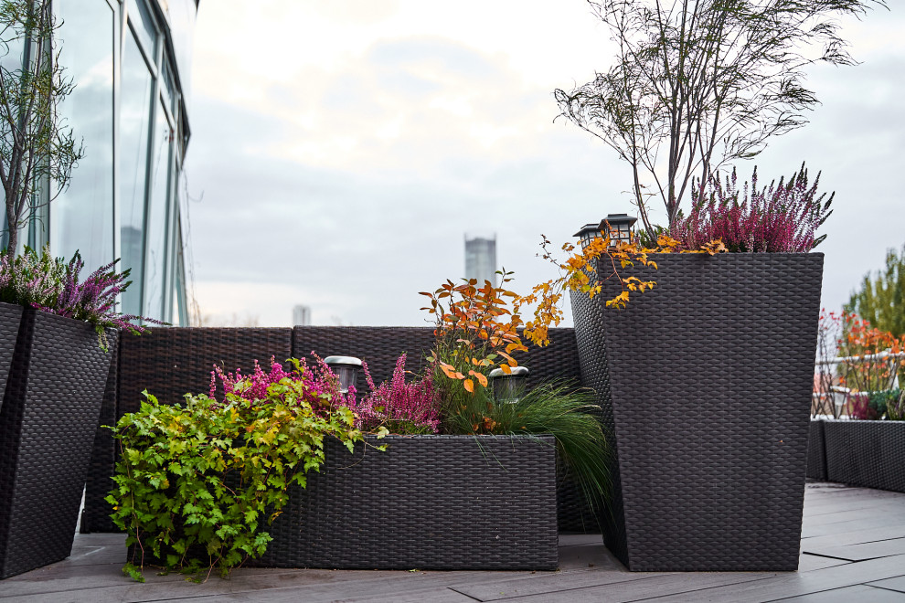 Озеленение террас