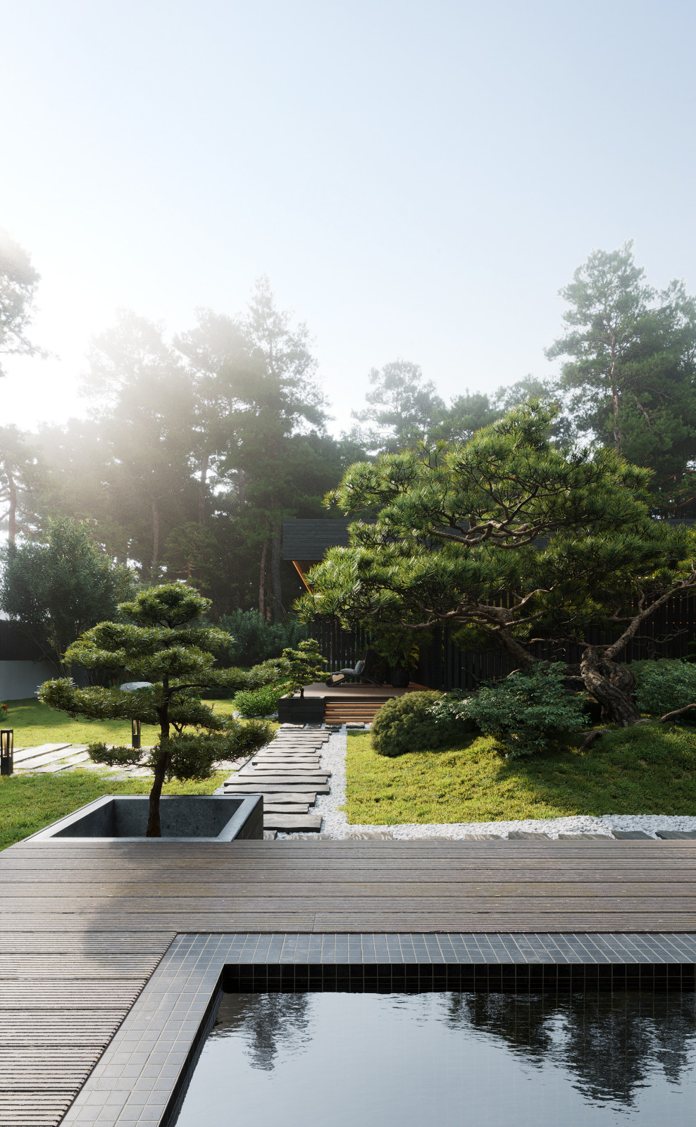 IN THE PINE FOREST