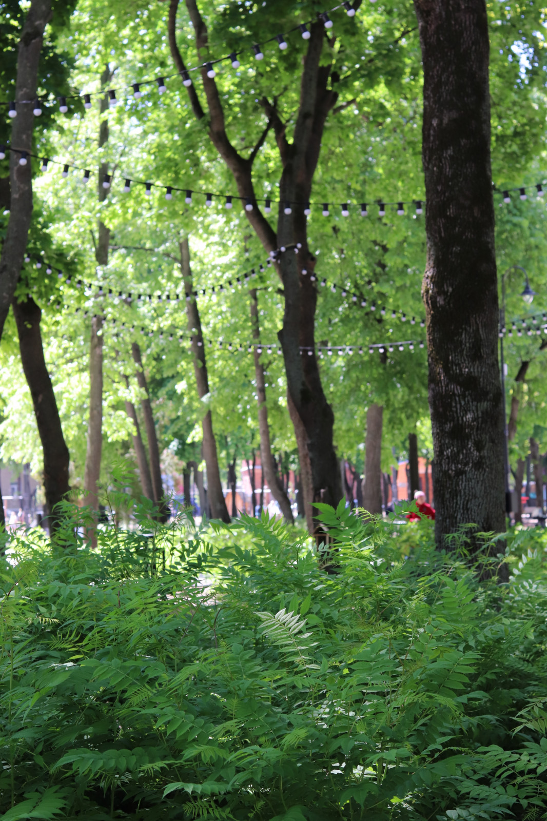 Парк Орленок