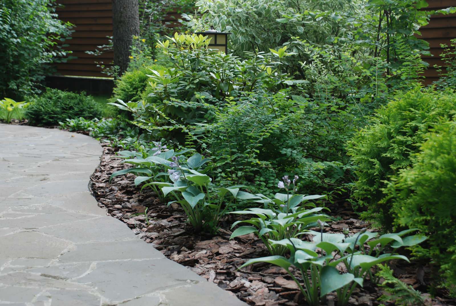 Успенское шоссе РИИТА