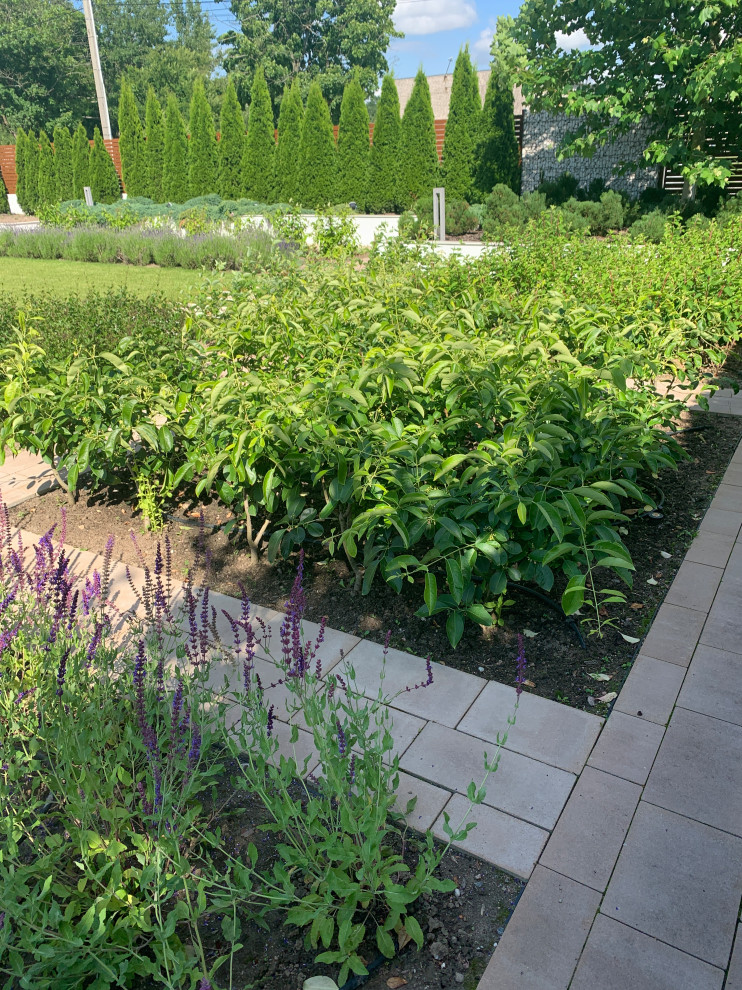 Современный сад для семьи