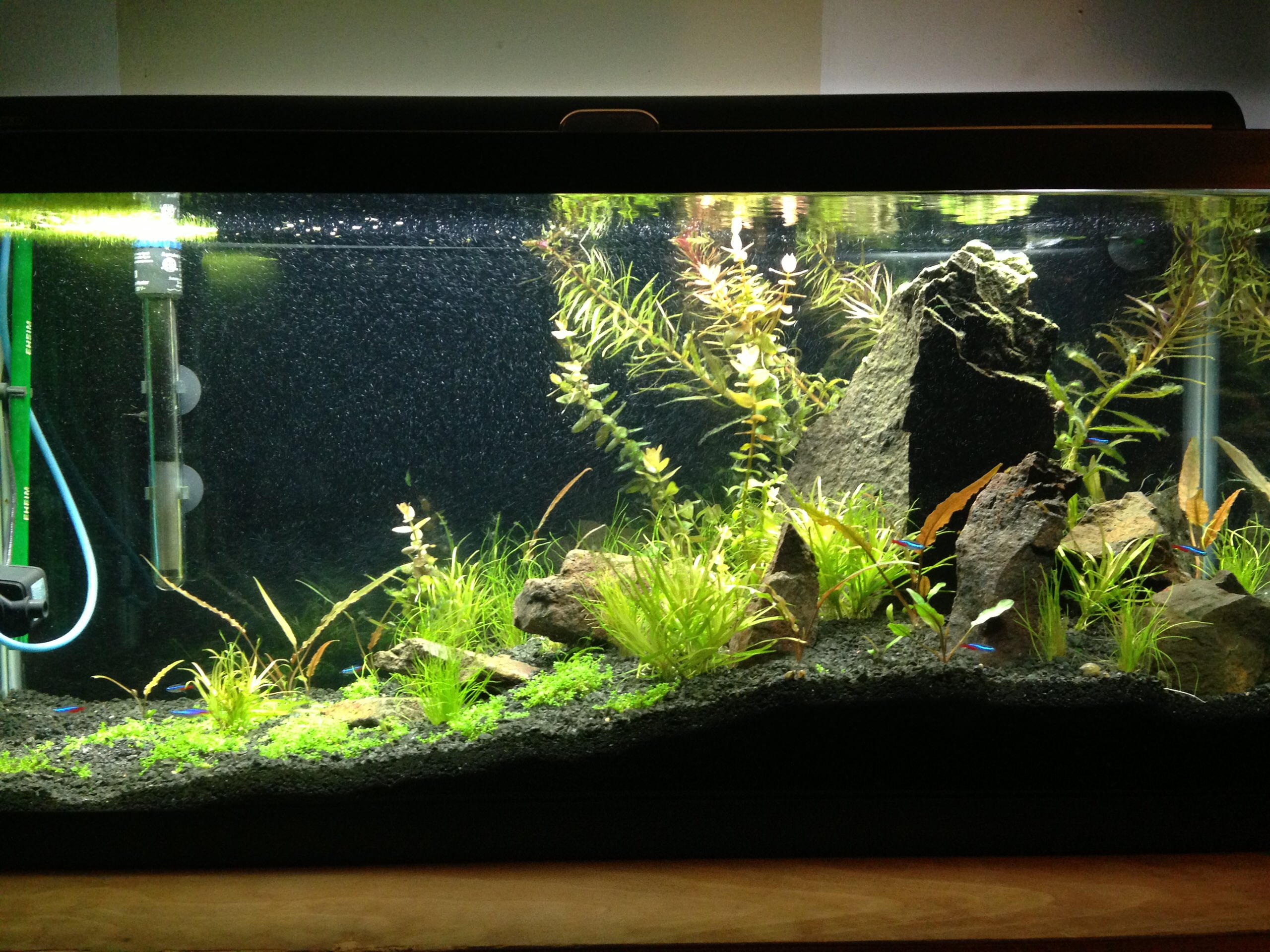 Водный мир: Как оформить аквариум внутри