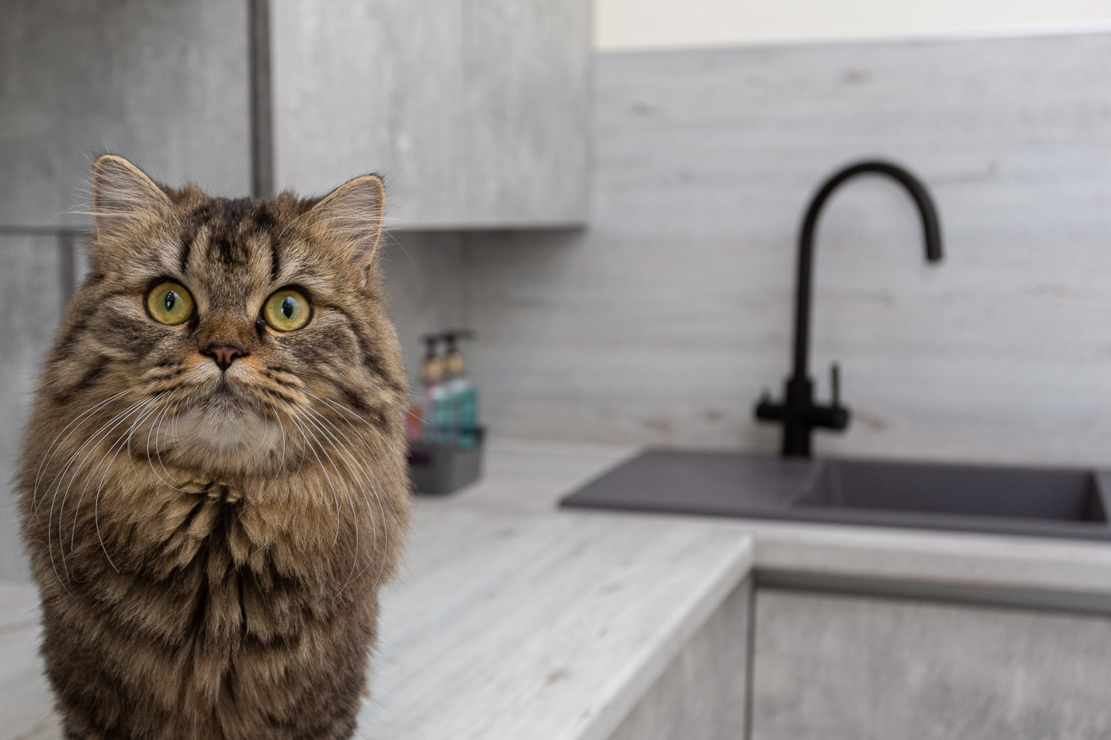 Современная кухня в сером цвете