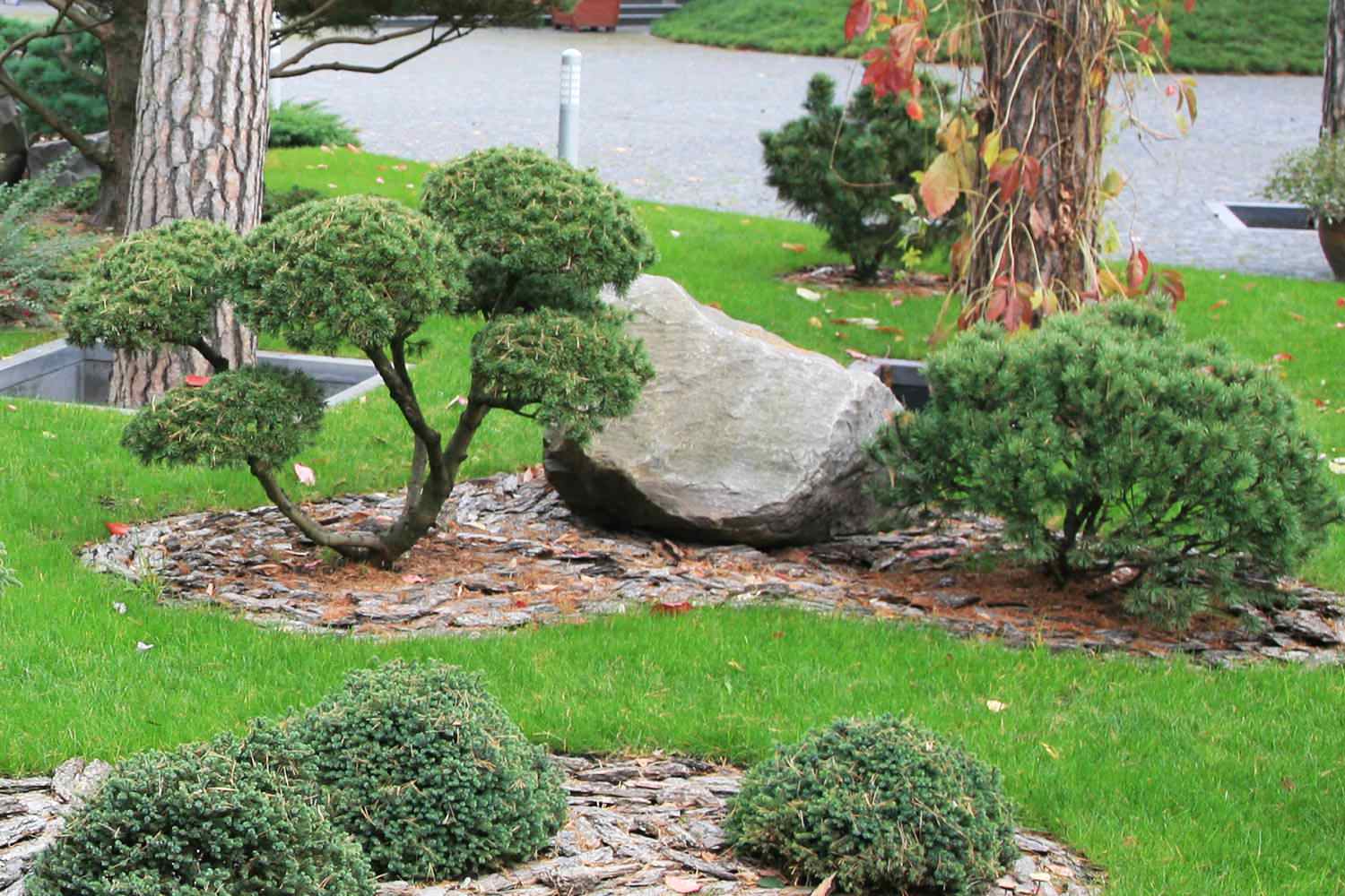 Ландшафтный сад в Горках 2