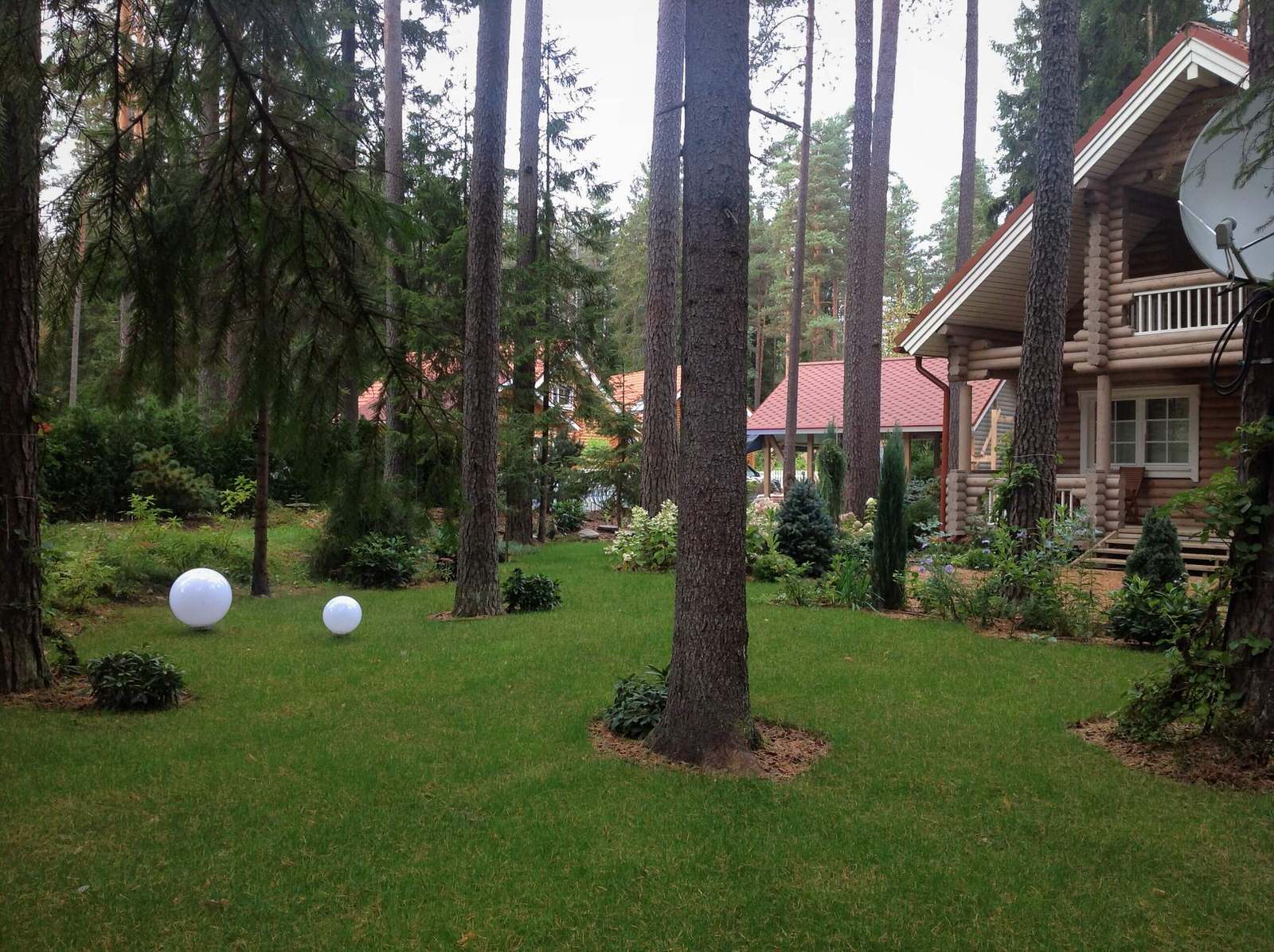 ШЕРВУДСКИЙ ЛЕС