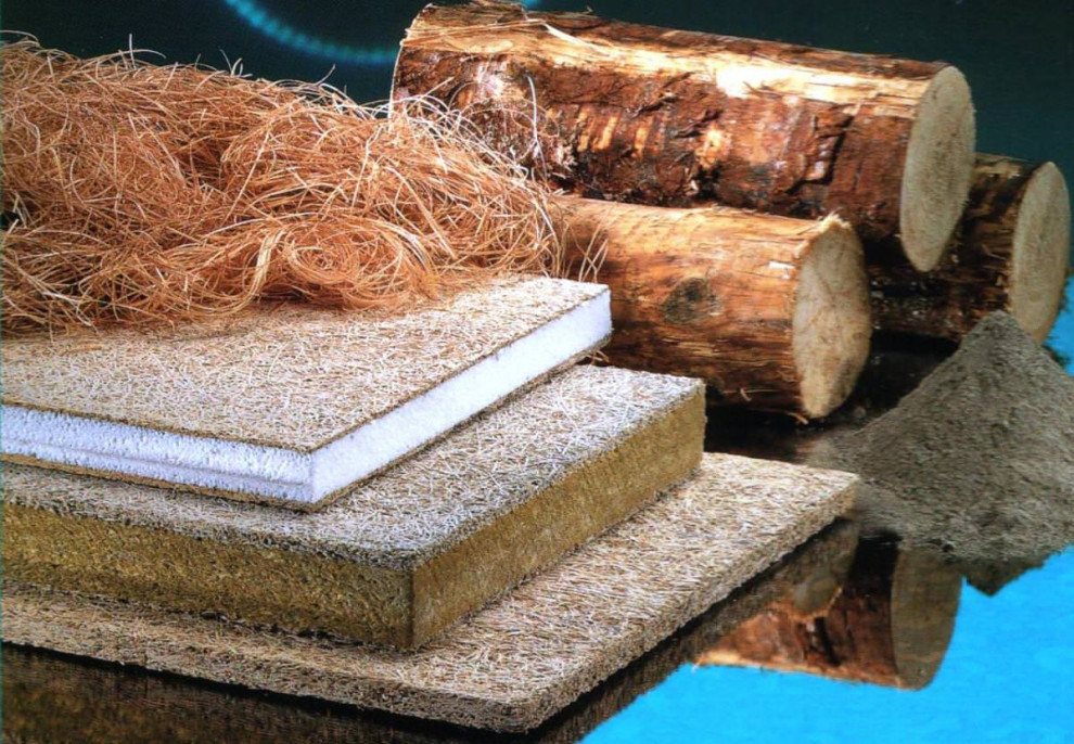 Обложка проекта: Строительство завода по производству березового шпона