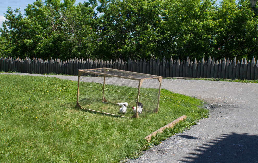 Цветник из аборигенных растений Томской области