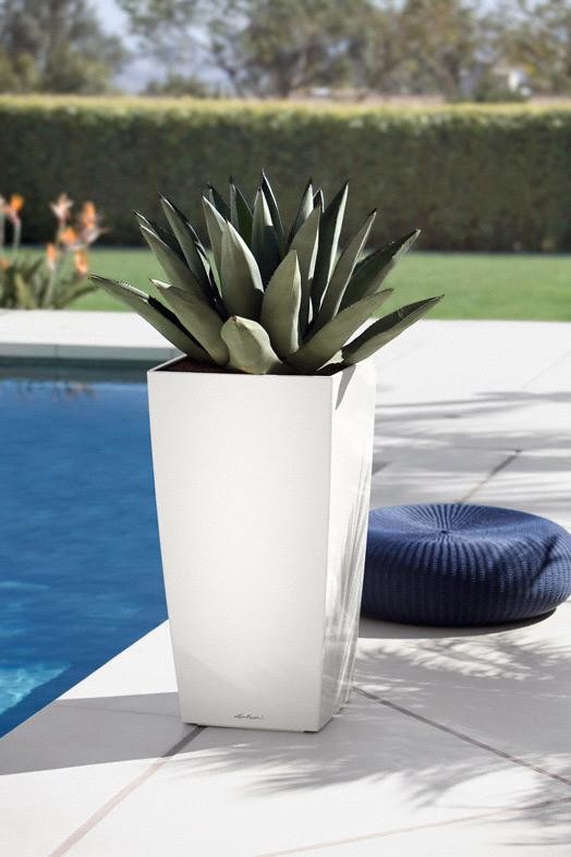 Время для серьезных дел