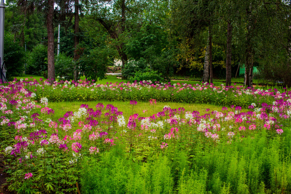 ЛАНДШАФТНЫЙ ПАРК ВДНХ Г.МОСКВА