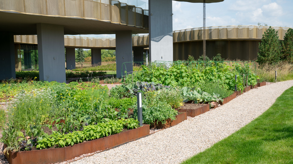 Природный сад. Жуковка XXI век. 2017-2018 гг.