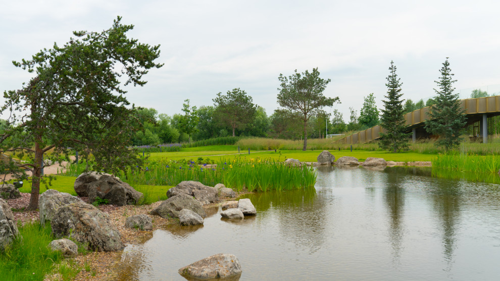 Как правильно: Отвести лишнюю воду с участка