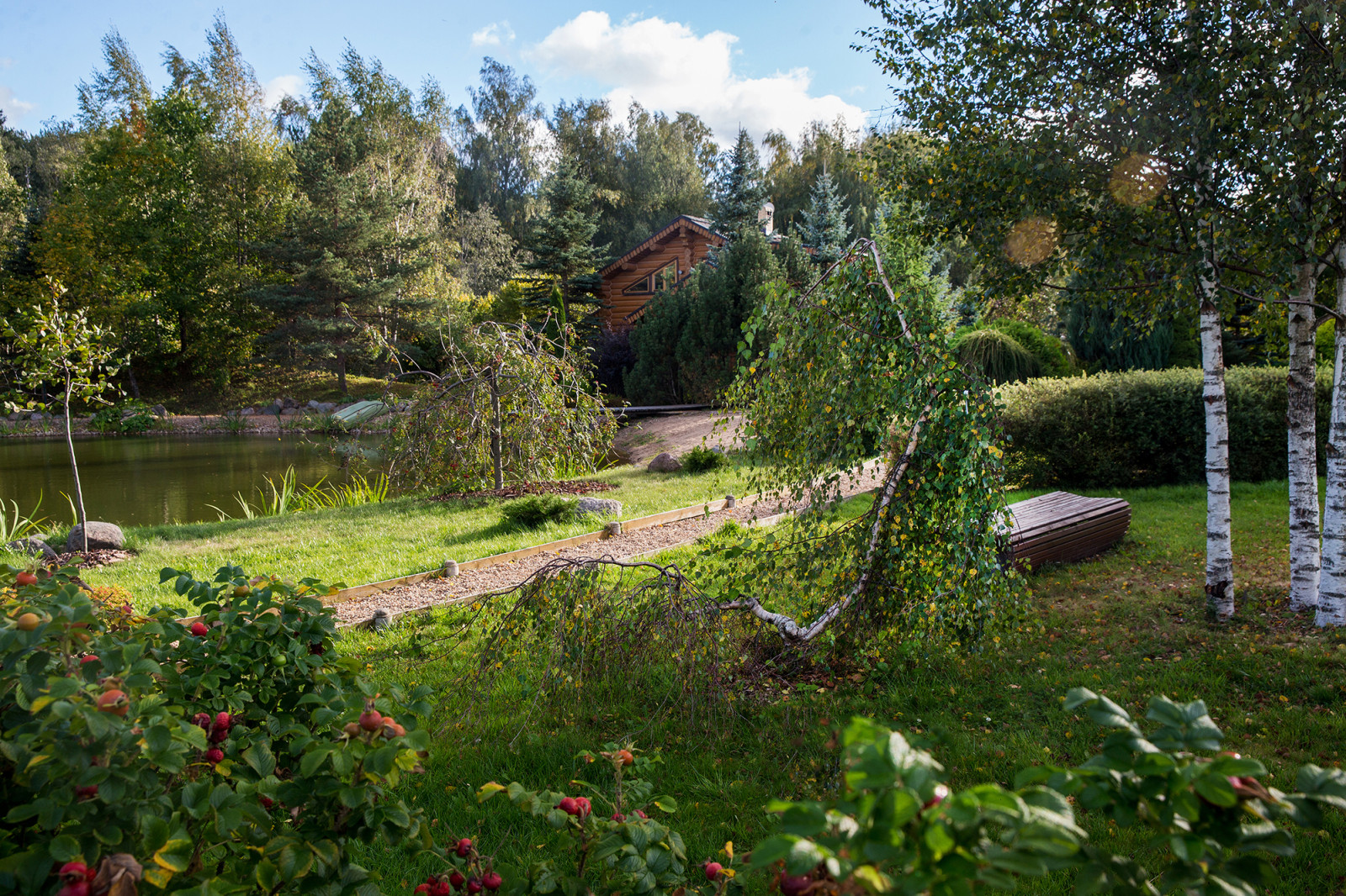 Парк в  Шаховском районе
