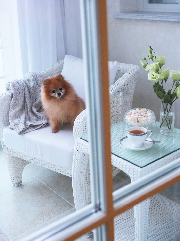 Классический стиль в интерьере квартиры и дома