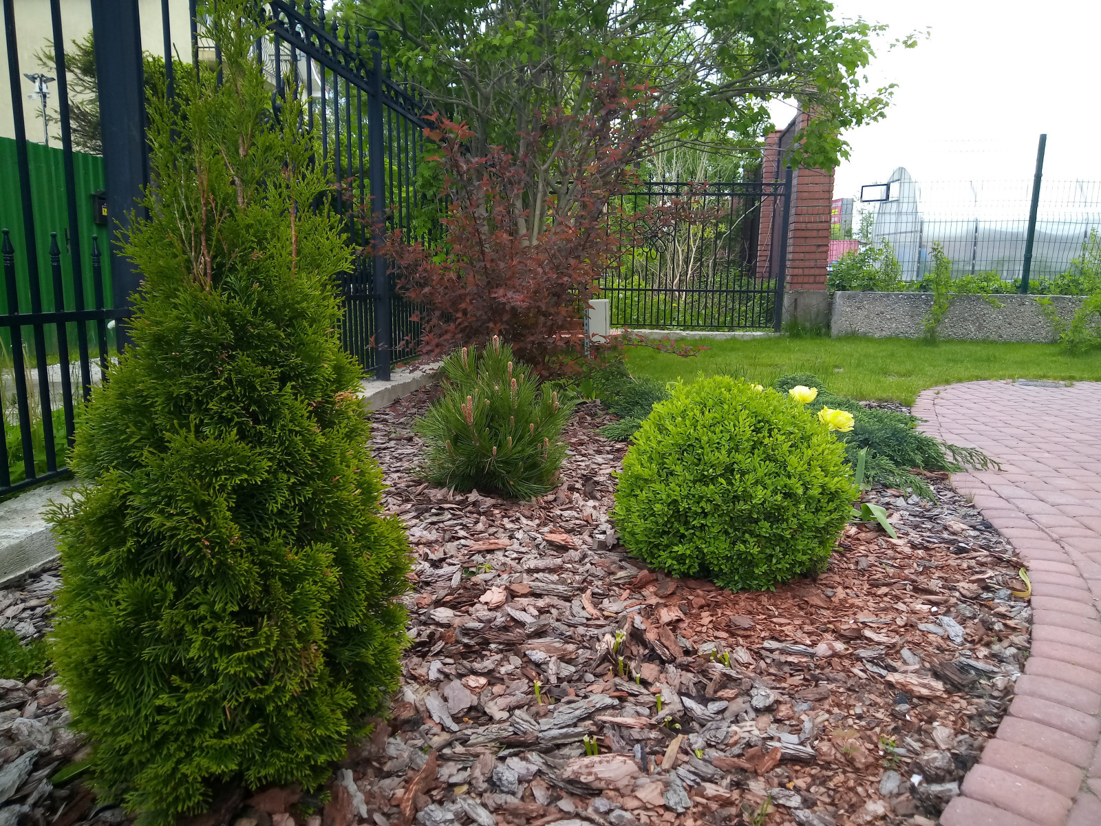 г. Пионерский, Калининградская область