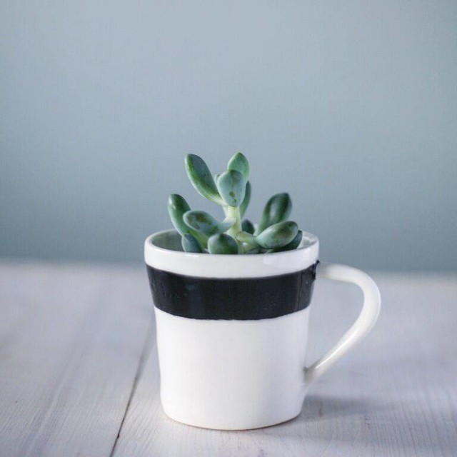 Цветы на подоконнике: 12 идей, как расставить их по правилам декора