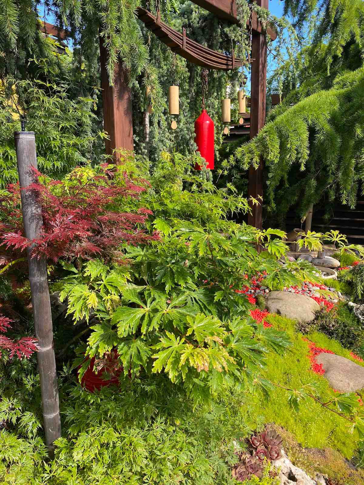 В гостях: Загадочный сад в Херсоне на 12 сотках