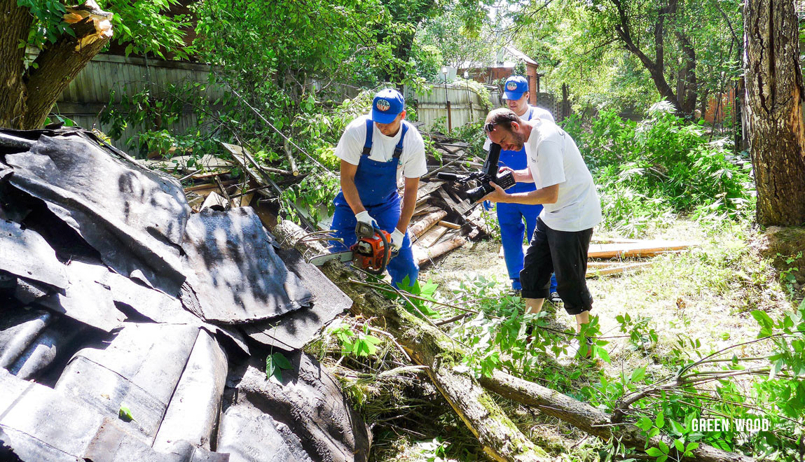 Как правильно: Привести в порядок запущенный участок