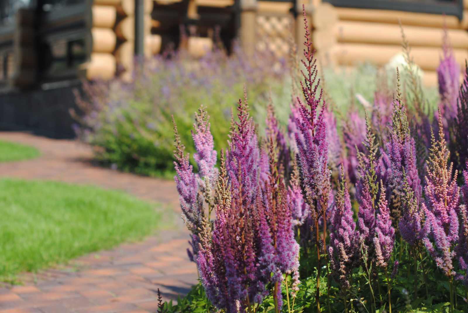 Дизайн участка с уклоном более 7 м.