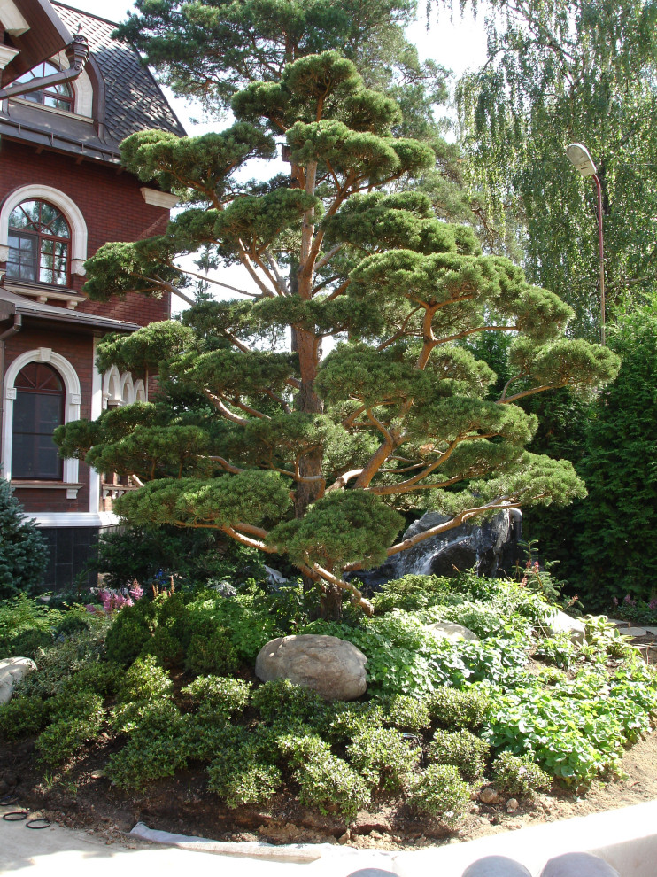 Сад с водопадом. Калчуга 2006 г