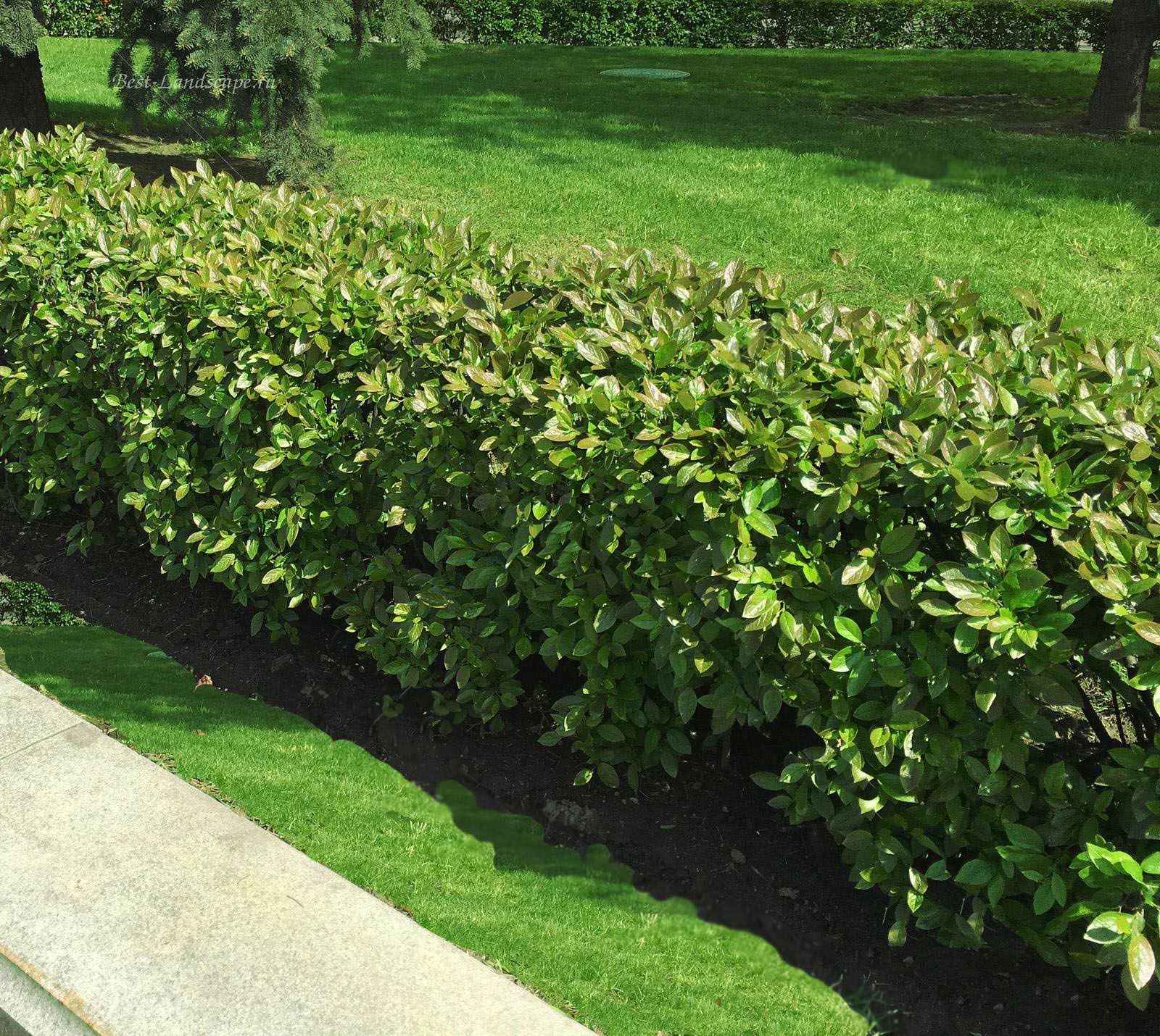 Обложка проекта: г. Самара