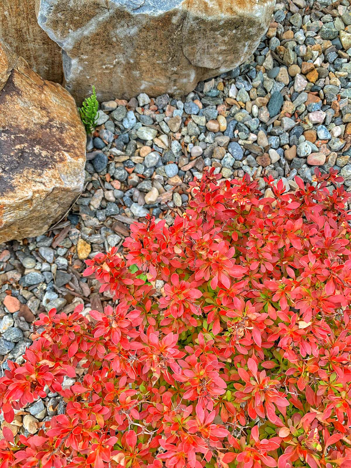 Ландшафтный дизайн в п. Молодёжный (Иркутск)