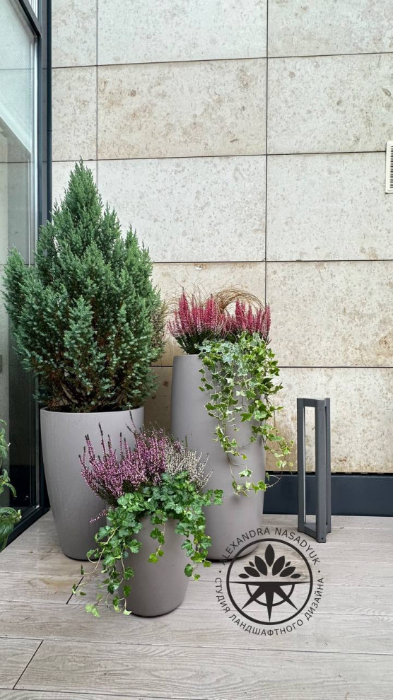 Обложка проекта: Осеннее оформление